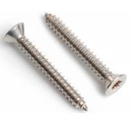 Ss 304 Self Tapping Screw Csk Phillips